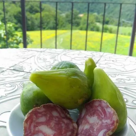 Agriturismo L'origano Farmház *
