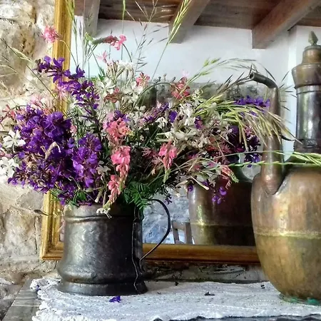 Agriturismo L'origano * Varese Ligure