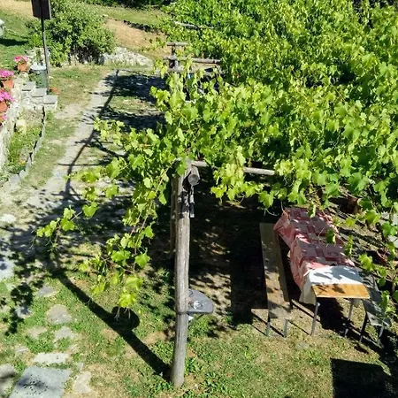 Agriturismo L'origano